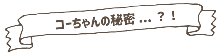 コーちゃんの秘密...?!